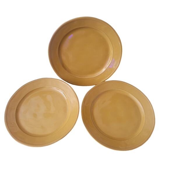 Euro Ceramic Portugal SAFARI Burnt Orange Stoneware Salad Plates 11" Set 3 - Picture 6 of 10